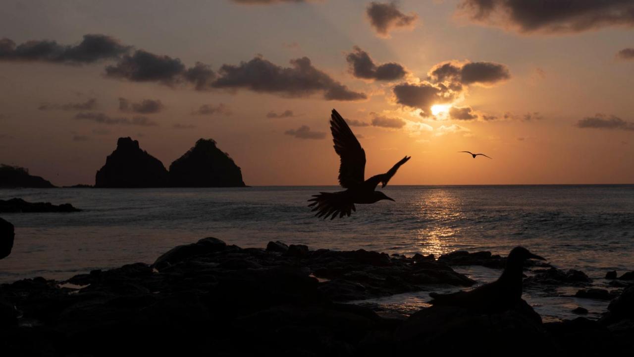 Pousada Naonda Fernando de Noronha Dış mekan fotoğraf